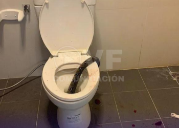 Hombre es mordido en los testículos por una serpiente de 3 metros mientras estaba sentado en el inodoro en Tailandia