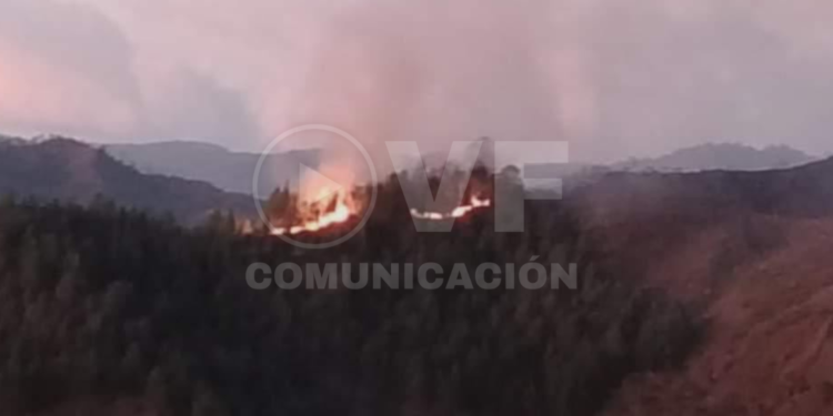 Devastador incendio forestal consume más de 470 hectáreas en Quilanga, provincia de Loja