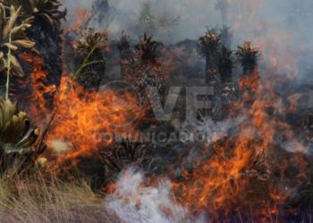 Gobierno transfirió USD 577 mil a Quilanga y Sigchos para enfrentar los incendios forestales