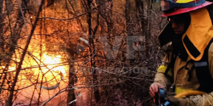 Dos incendios forestales se registran en Quito