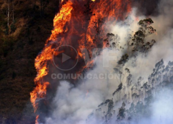 Activan Plan de Recompensas para obtener información sobre los responsables de incendios en Quito