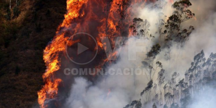 Activan Plan de Recompensas para obtener información sobre los responsables de incendios en Quito