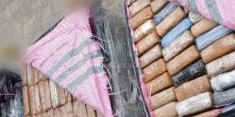 Policía de España decomisó 165 kilos de droga camuflada en cajas de pitahaya provenientes de Ecuador