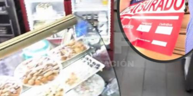 Pastelería en Guayaquil convertida en festín para plagas