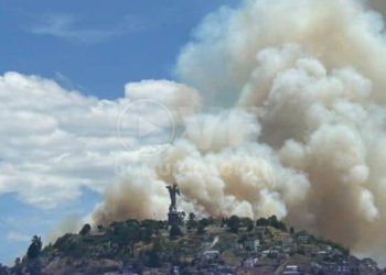 Incendio forestal se registra en el sector de El Panecillo