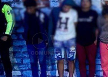 Seis presuntos integrantes de Los Lobos son procesados por supuesto tráfico de drogas