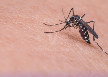 2.845 casos de dengue y un fallecido se reportaron en Machala