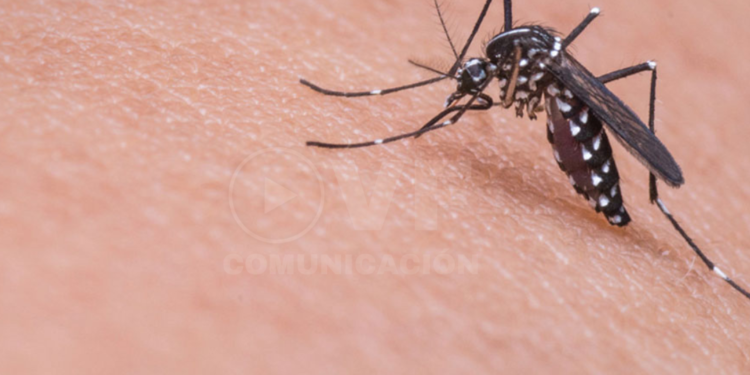 2.845 casos de dengue y un fallecido se reportaron en Machala