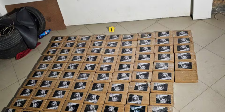 Policía encuentra 86 bloques de droga encaletados en un vehículo, en Chone