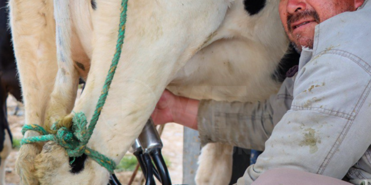 Ecuador ya puede exportar productos lácteos a Chile