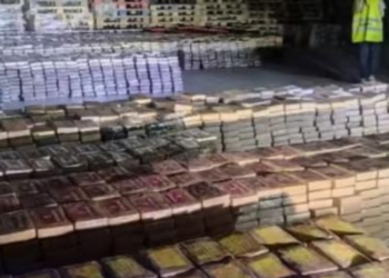 En España decomisan 13 toneladas de cocaína en contenedores que salieron de Ecuador