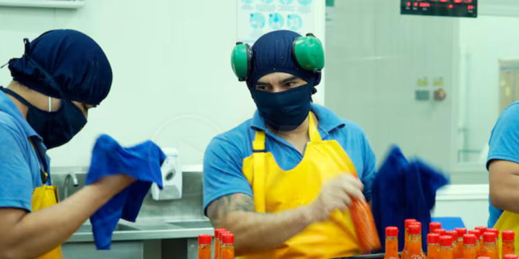 Suspensión de jornada laboral del 31 de octubre es obligatoria para sector público y privado