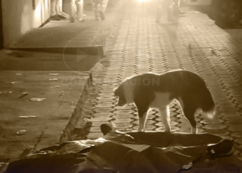 Un joven de 25 años fue asesinado en el sector de La Planada, en Quito