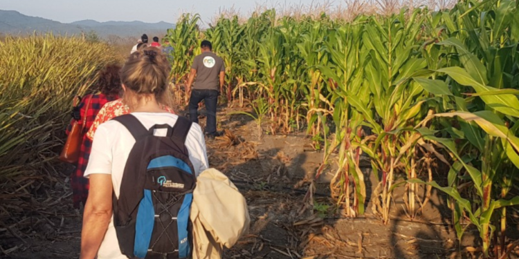 MAATE y MAG implementan proyecto para evitar degradación de la tierra