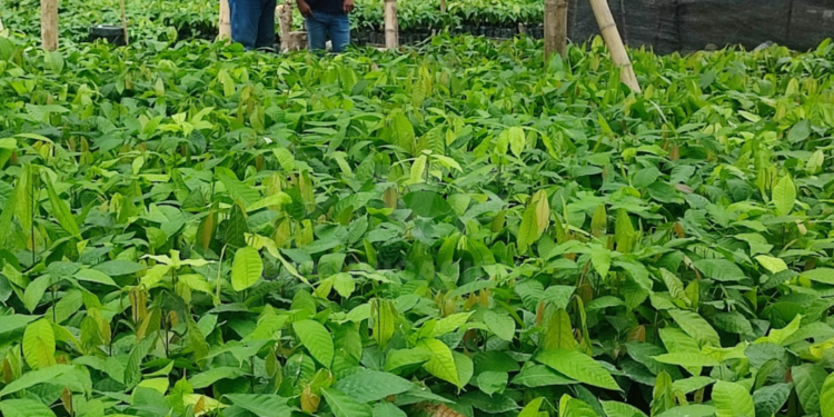 MAG articula trabajo con GAD Parroquial La América del cantón Jipijapa