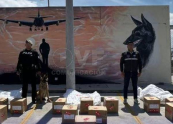 En ingredientes de la colada morada se camuflaron miles de dosis de cocaína