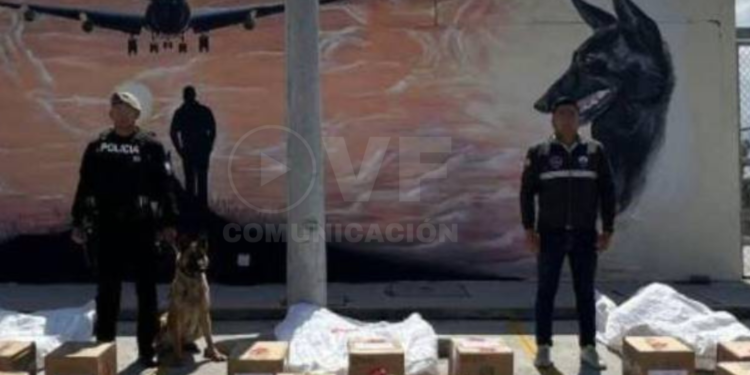 En ingredientes de la colada morada se camuflaron miles de dosis de cocaína