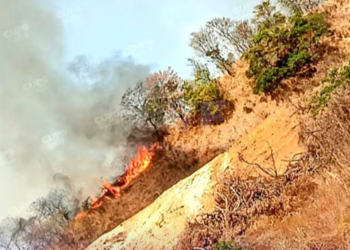 Nuevo incendio forestal alarma 2 se reporta en El Chorrillo