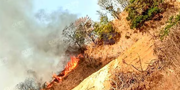 Nuevo incendio forestal alarma 2 se reporta en El Chorrillo