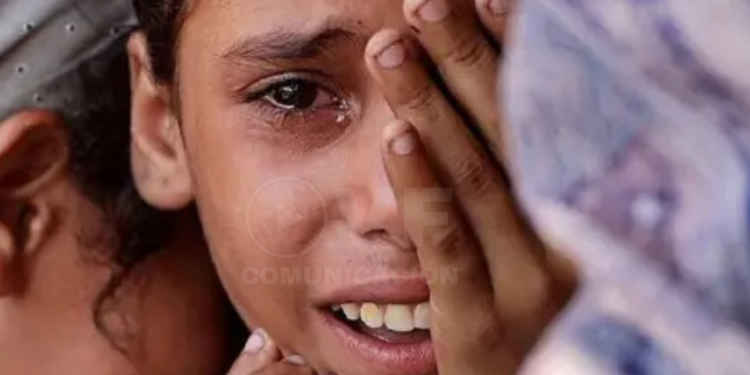 Durante un año en Gaza se informó de la matanza cada día en promedio de 40 niños y niñas