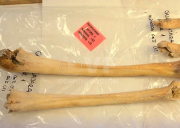 Confirman que los huesos enterrados en Sevilla, España, son de Cristóbal Colón