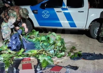 Hombre se disfrazó de planta acuática para contrabandear cigarrillos desde Paraguay a Argentina
