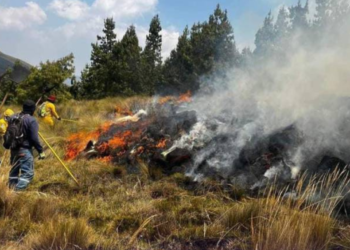 Más de 5 000 hectáreas devastadas en el Cajas