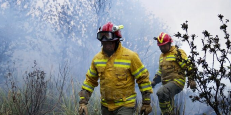 Cuatro detenidos por provocar los incendios en Azuay