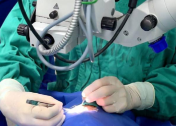 Mujer de 82 años recuperó la visión tras someterse a un trasplante de córnea en el IESS