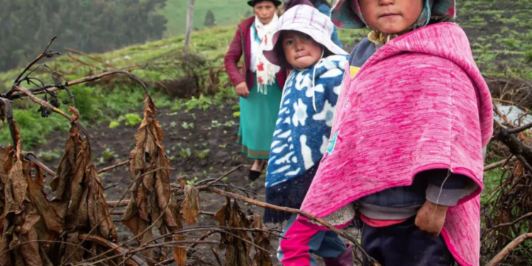 Desnutrición crónica infantil en Nabón y Ponce Enríquez 