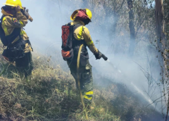 Bomberos controlan incendio en Guápulo y realizan cierres viales