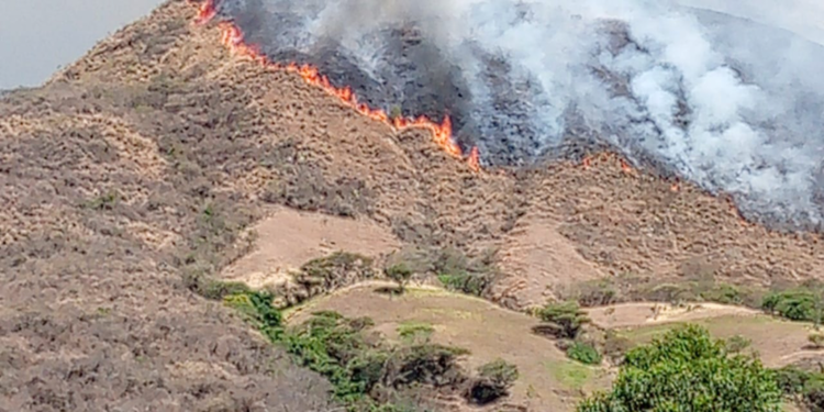 ECU 911 coordina atención de 27 incendios forestales en varias provincias