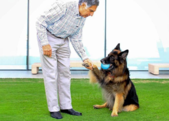 Millonario indio dejó parte de sus fortuna a su mascota