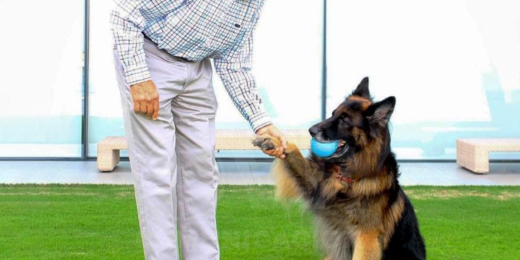 Millonario indio dejó parte de sus fortuna a su mascota