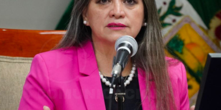 Vocal del CNE exige renuncia de la Presidenta o de su hermano en el Consulado de Queens