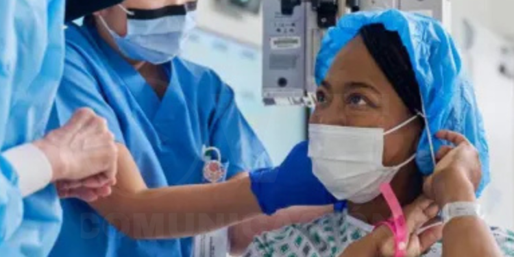 Una abuela de Alabama recibe un riñón de un cerdo modificado genéticamente