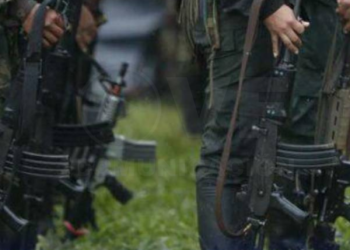 Combates entre disidentes de las FARC dejan 12 muertos