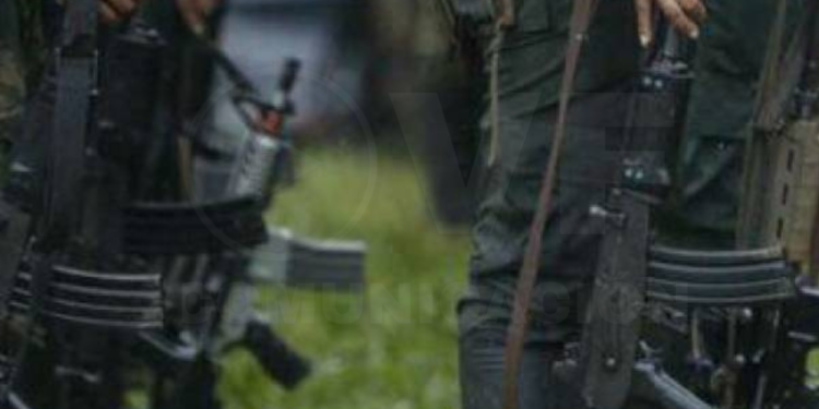 Combates entre disidentes de las FARC dejan 12 muertos