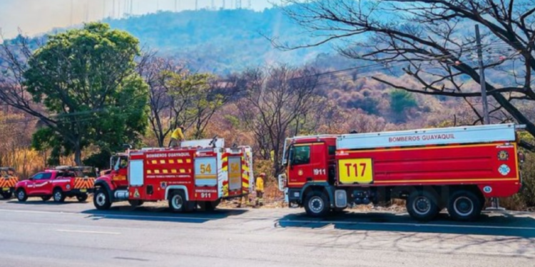 Segura EP coordina esfuerzos para contener incendio forestal en el sector Cerro Azul