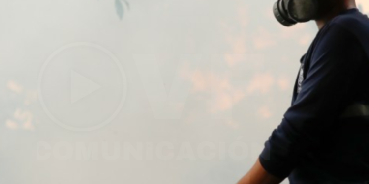 OMS considera alto el riesgo sanitario por brotes de oropouche en países de América