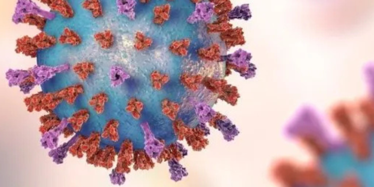 Cuatro virus respiratorios circulan  hospitales en Ecuador