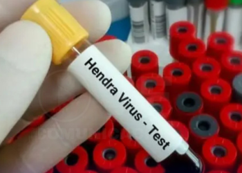 Cientos de muestras de virus mortales desaparecieron de un laboratorio en Australia