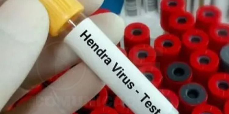 Cientos de muestras de virus mortales desaparecieron de un laboratorio en Australia