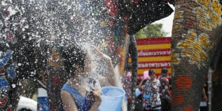 Muere turista española al ser atacada por un elefante en Tailandia