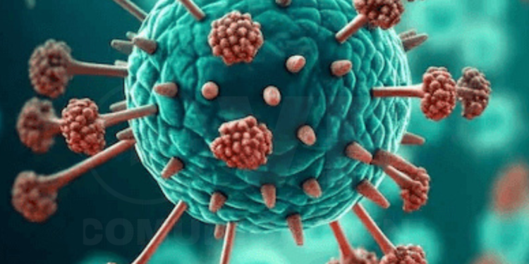 Bebé de ocho meses en Bengaluru se convierte en el primer caso de HMPV en la India