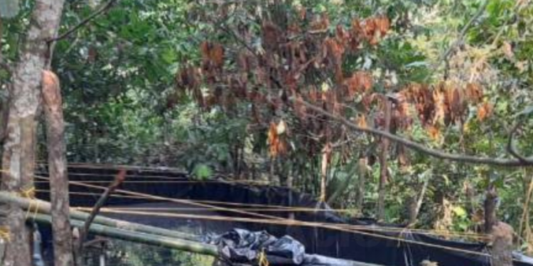 Militares hallaron piscina con 5 mil galones de gasolina blanca en Sucumbíos