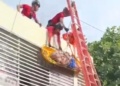 Rescatistas fallan y tiran a un hombre de 62 años desde el segundo piso
