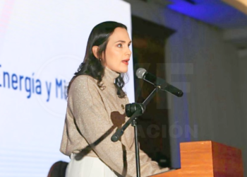 Ecuador prevé instalar cerca de 8.000 megavatios para el 2030 superar así la crisis energética