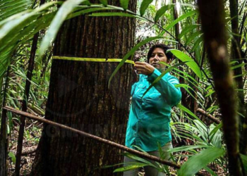 Ecuador recibirá 30 millones de dólares para proyectos de conservación del ambiente