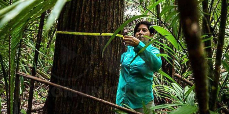 Ecuador recibirá 30 millones de dólares para proyectos de conservación del ambiente